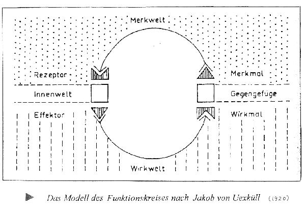 Kap3Infobox2